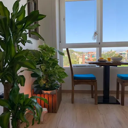 Apartment Oasis